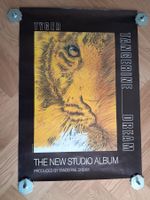 Promo Poster Tangerine Dream