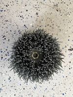 Metabo-Kunststofftellerbürsten