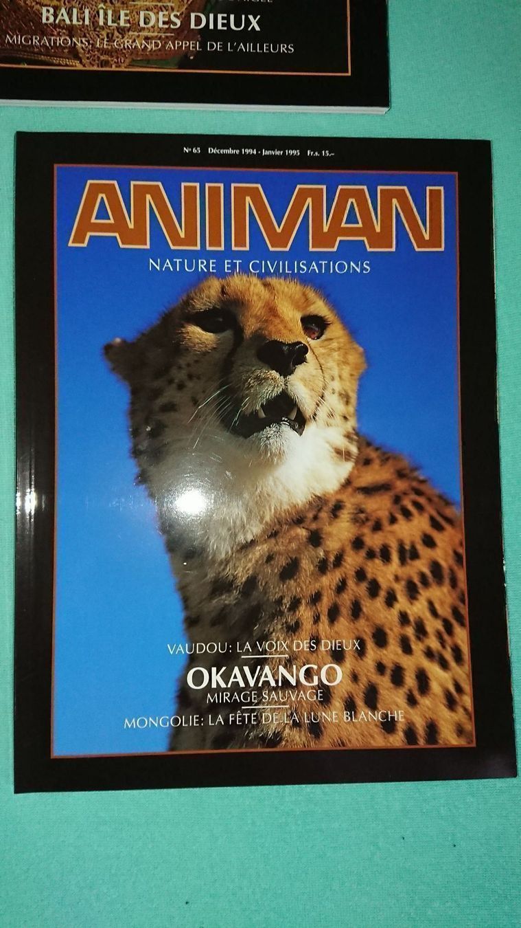 Riviste & Magazine: Animan / lot – Usato da Cortaillod venduto da signep 5