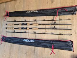 2Stk. Jenzi Wallerrute Siluro  Baitmaster  250-400g Ltd.