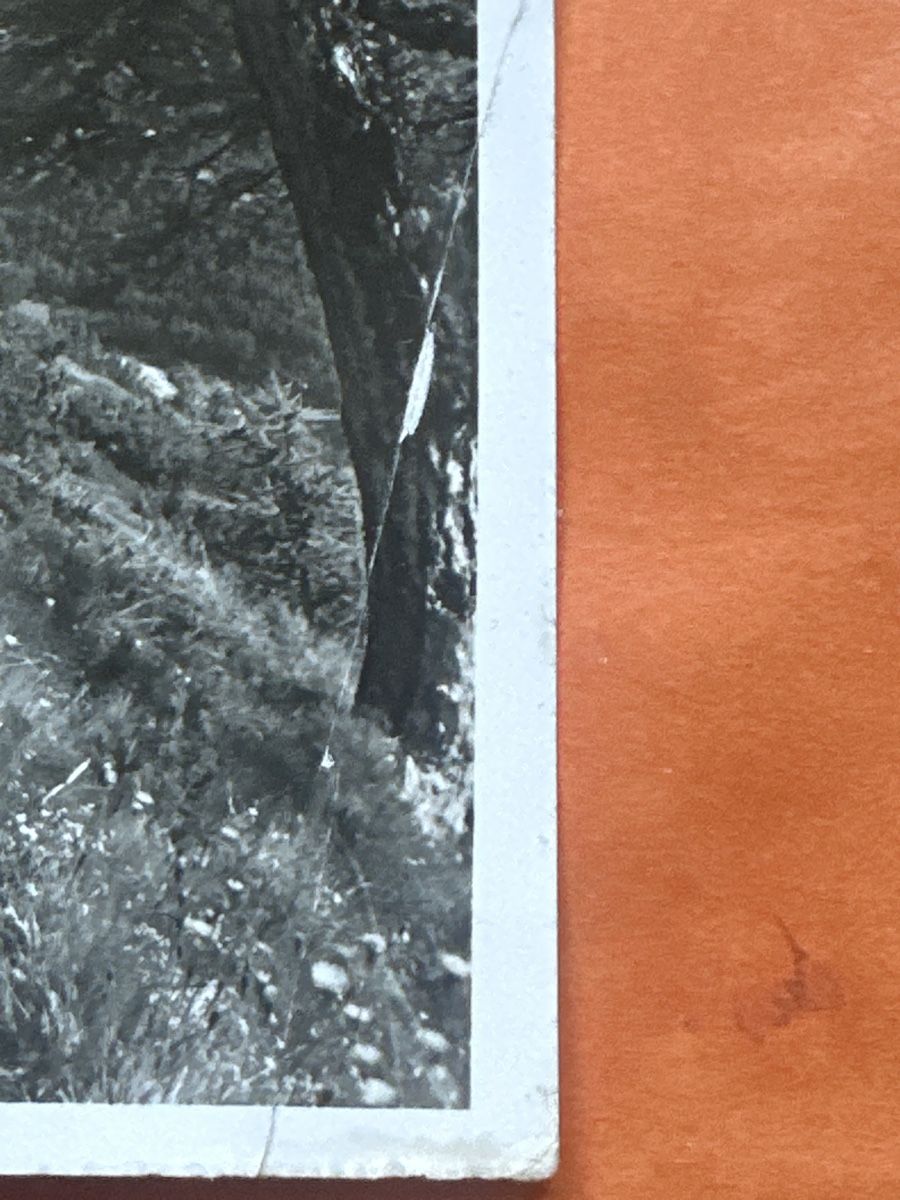 Cartoline postali: 240 Höhenweg mit Piz Palü. – Usato da Zürich venduto da Chaeffeler 2