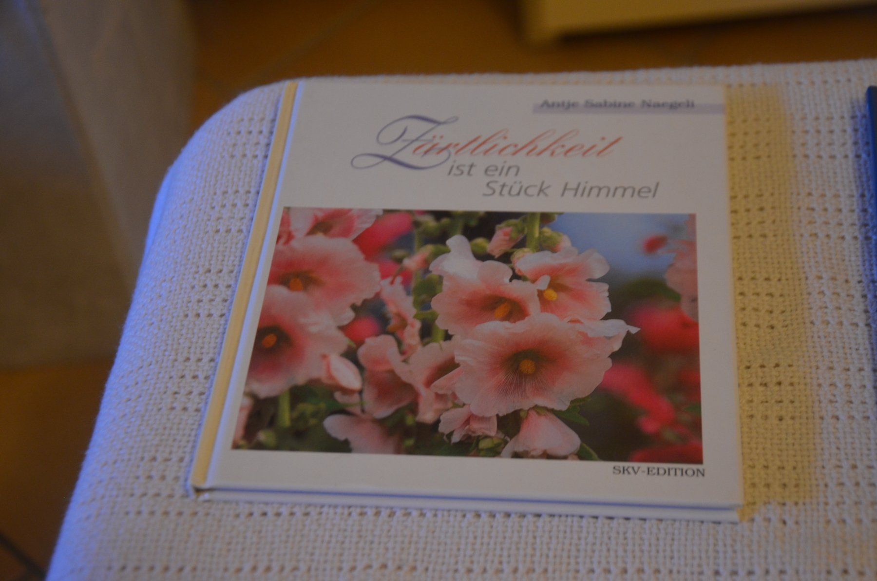 Bücher: MINI BUCH – Gebraucht aus Chiasso von Dolly015