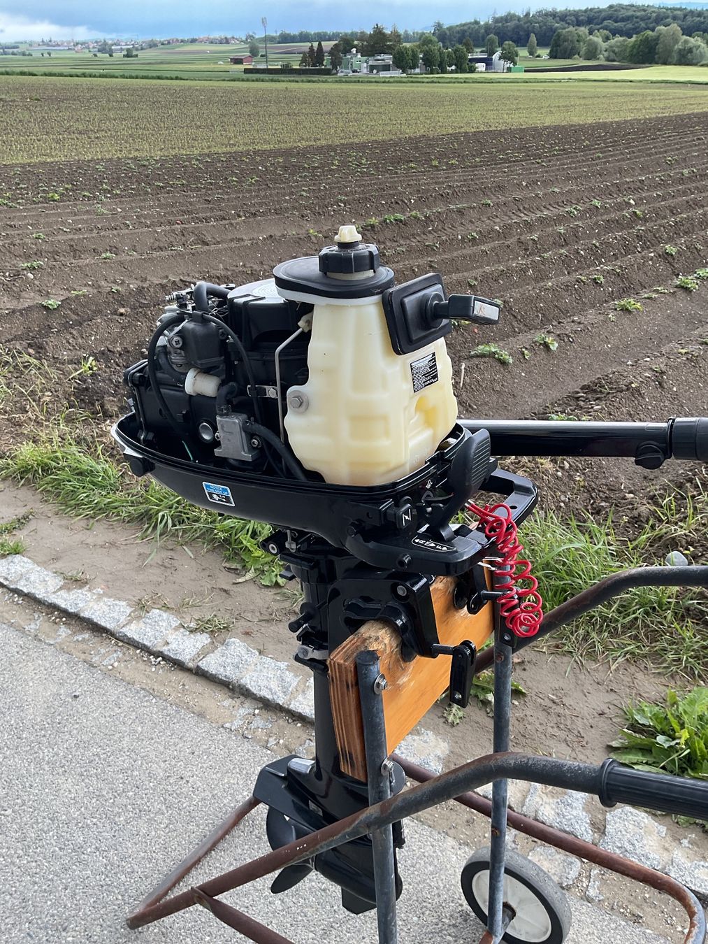 Mercury Motori: Aussenbordmotor Mercury F6M – Usato da Hagneck venduto da Kobogero 6