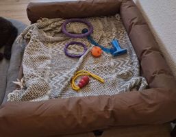 Used pet bed with dog toys