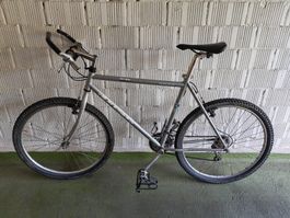 Altes Herren Mountainbike