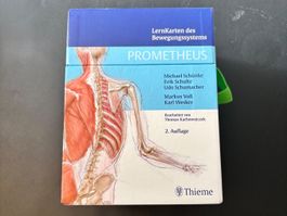 Anatomie Lernpaket; Prometheus Lernkarten + Taschenatlas