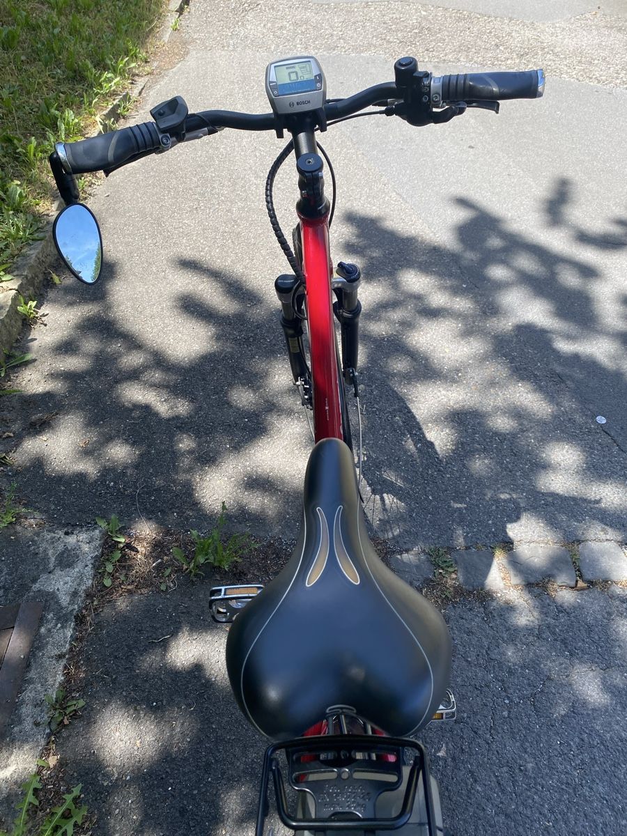 Cresta Biciclette: BOSCH CRESTA 25km – Usato da Luzern venduto da Goodmorning_16 8