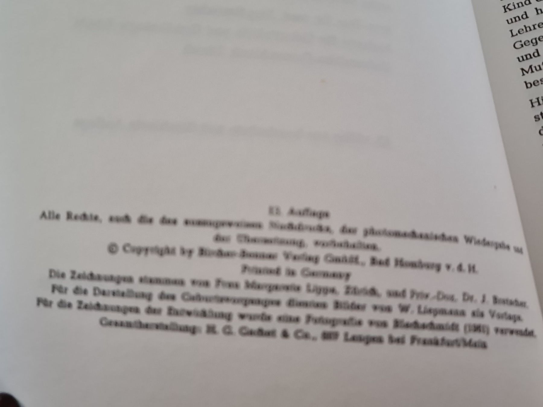 Libri: Gesunde Schwangerschaft... – Usato da Erstfeld venduto da Uhu1980 2