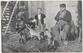 Landwirtschaft/Bauern 1914 mit Ziegen