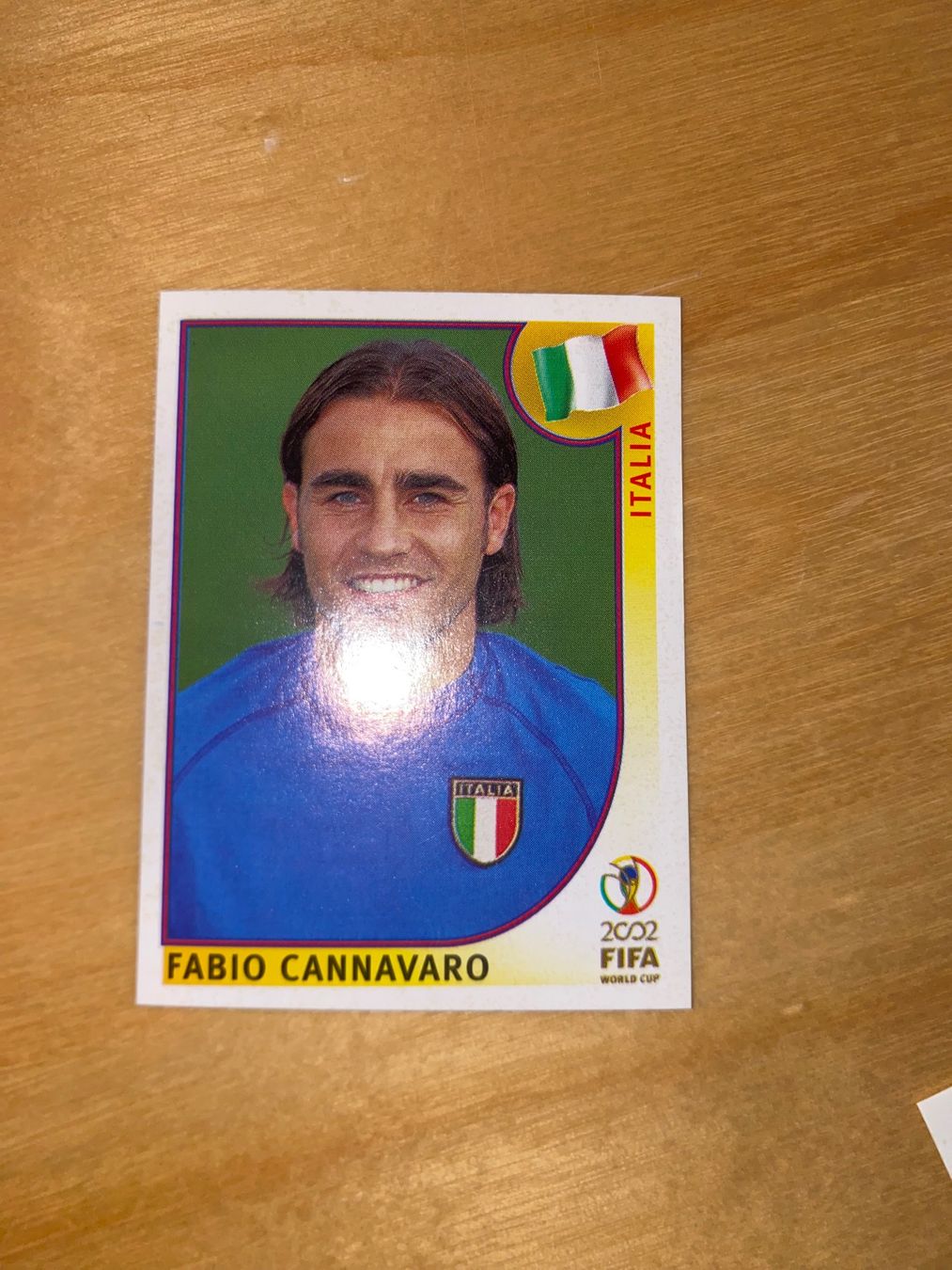 Panini Carte collezionabili: Panini WM 2002 - Cannavaro - 461 – Nuovo (secondo la descrizione) da Unterlunkhofen venduto da PaniNicola