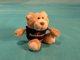 NICI Bär mit Sternschnuppen Pullover(ausziehbar)