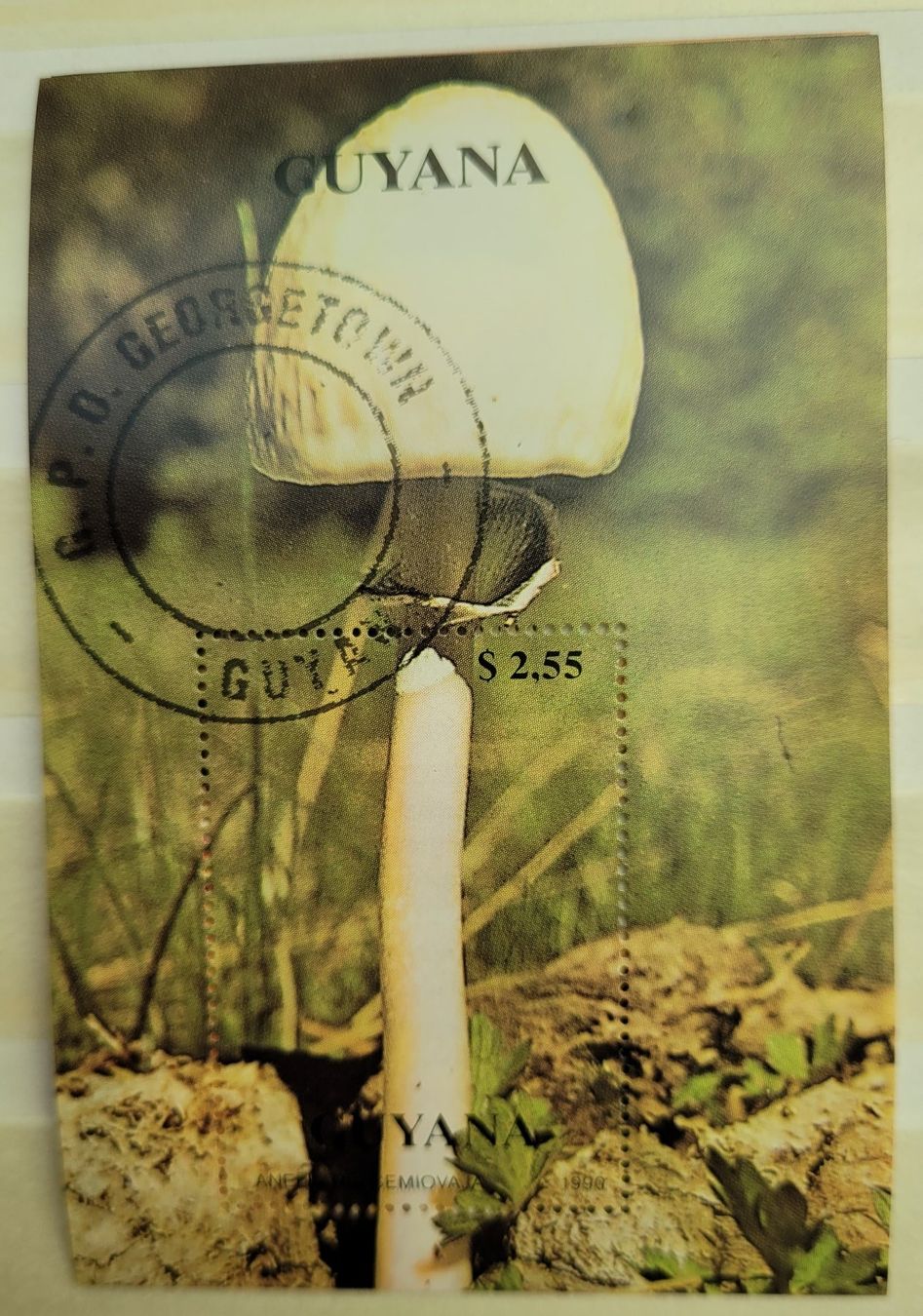 Tous les timbres: PILZ - GUYANA / CHAMPIGNON - GUYANE – D'occasion à Neftenbach par Mador6