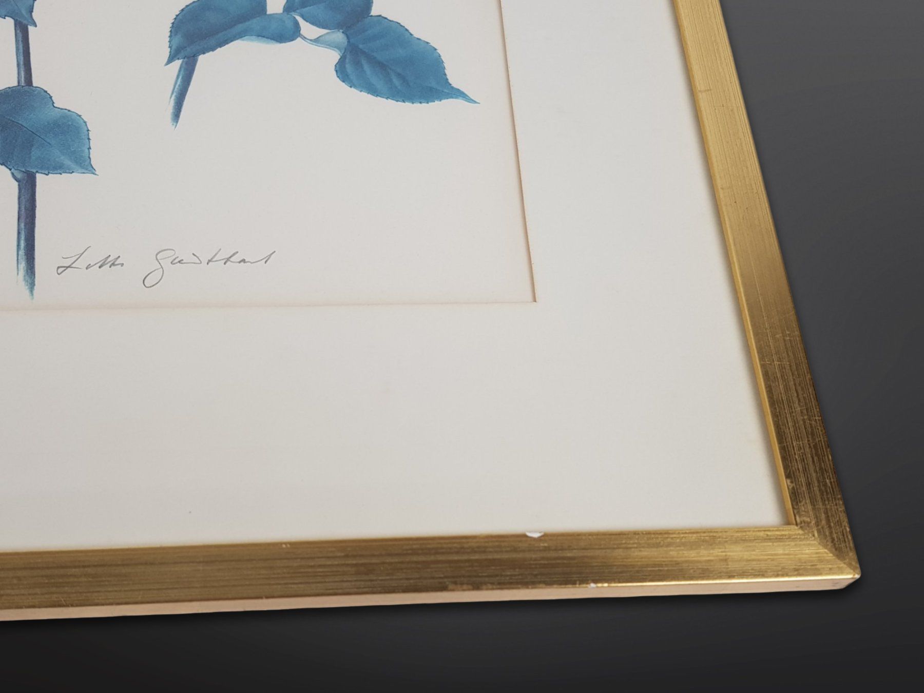 Foto & Immagini: Rosen Illustration - Lotte Günthart – Usato da Suhr venduto da Restwert_Suhr 1