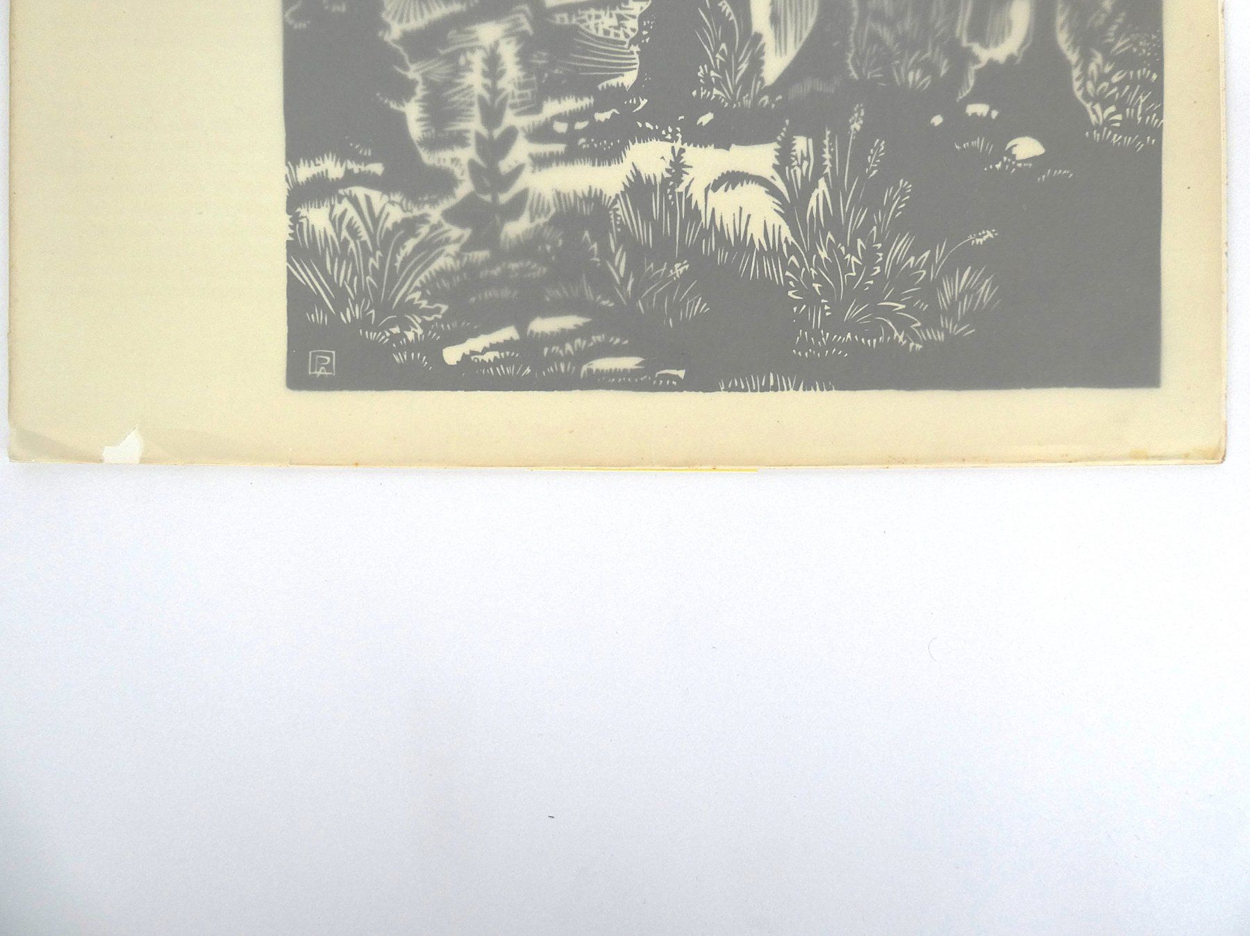 Riviste & Magazine: philographic 4 Zeitschrift für Originalgraphik – Usato da Urtenen-Schönbühl venduto da Restwert_Schoenbuehl 6