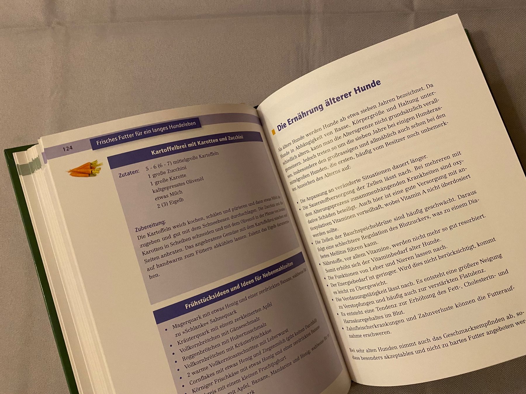 Libri: Frisches Futter Langes Hundeleben Hunde Behling Ernährung – Usato da Basel venduto da him_5r5n 4
