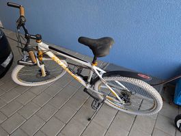 Velo gratis abzugeben