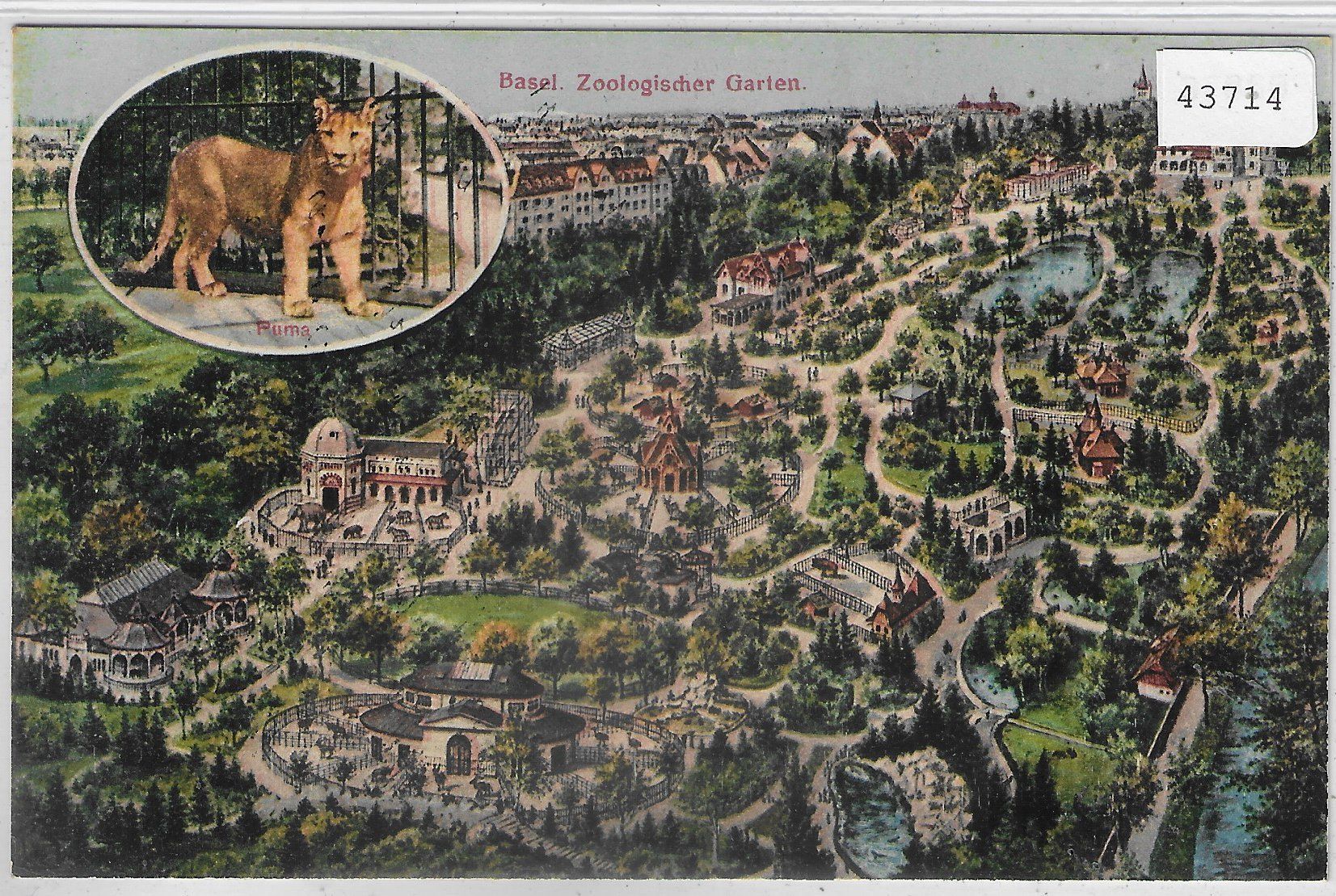 Ansichtskarten: Basel - Zoologischer Garten - Übersicht - Litho – Gebraucht aus Ettingen von Kartenplanet