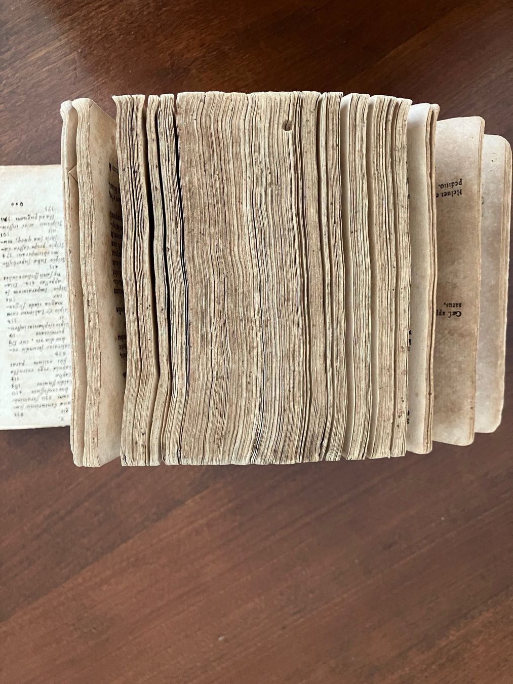 Libri: Cäsar Caesaris Latein Rome Geschichte Religion Leben Band – Usato da Beringen venduto da Amadeo8 5