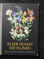 In der Heimat der Blumen / Ida Bohatta