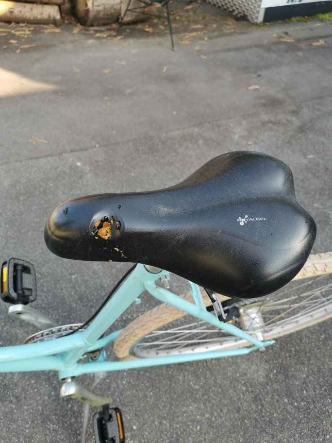 Biciclette: Damenvelo Citybike – Difettoso da Dänikon ZH venduto da Beldiwuffi 4