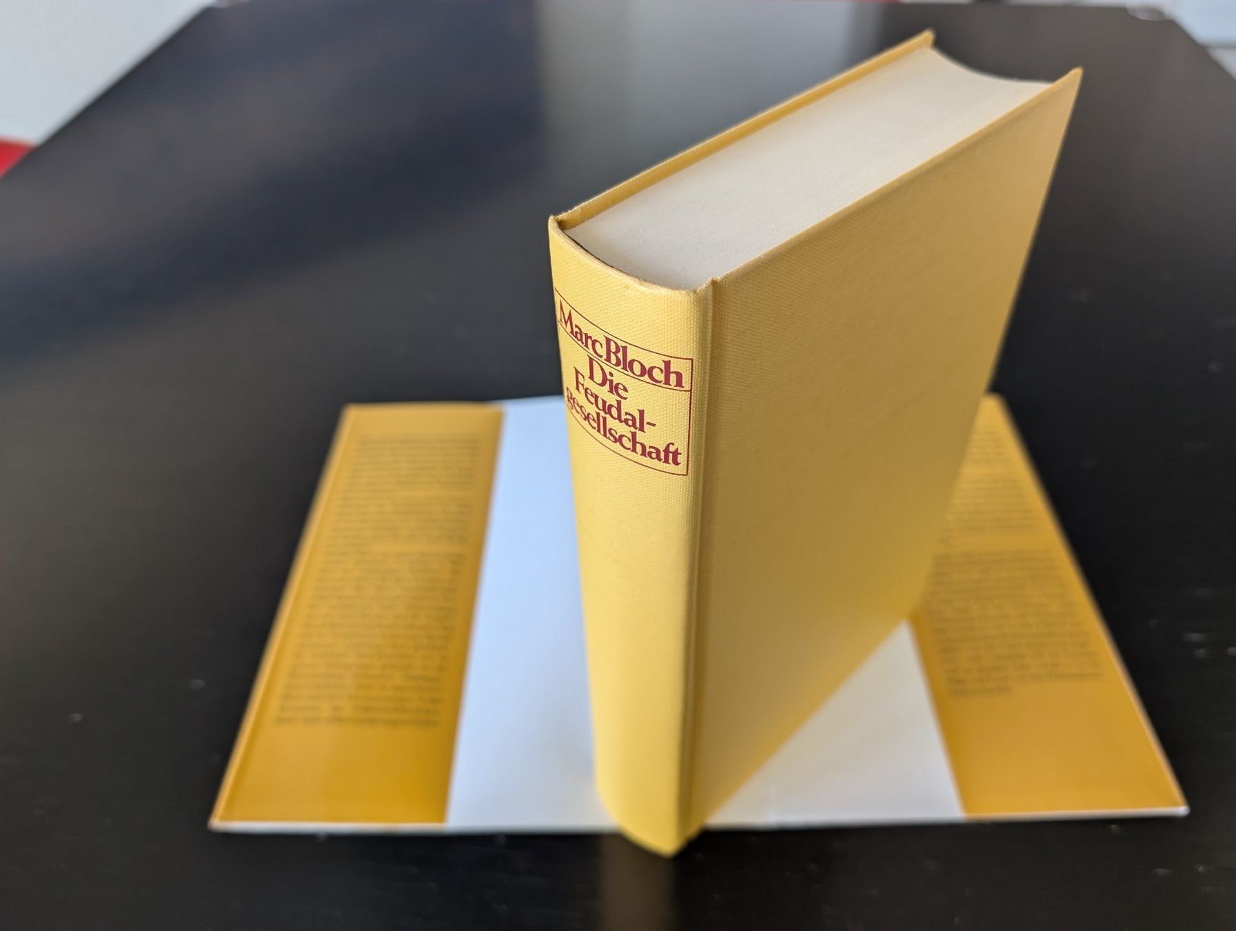 Libri: Marc Bloch - Die Feudalgesellschaft – Nuovo (secondo la descrizione) da Thalwil venduto da sultan03 4