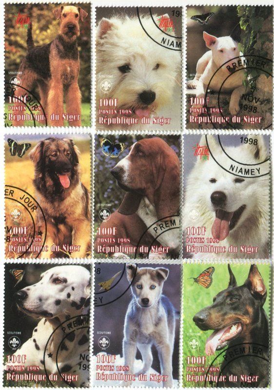 Tous les timbres: Briefmarken "Hunde". Niger – Neuf avec emballage d'origine à Basel par Butsch5