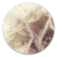 Glasbild Pusteblume Close Up Ø 30cm (neu, UVP 64.90 Fr.)