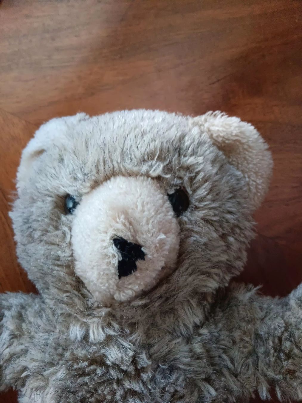 Jouets: alte Bär – D'occasion à Ambrì par Maerz87 1