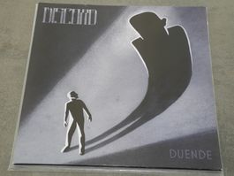 THE GREAT DISCORD - DUENDE