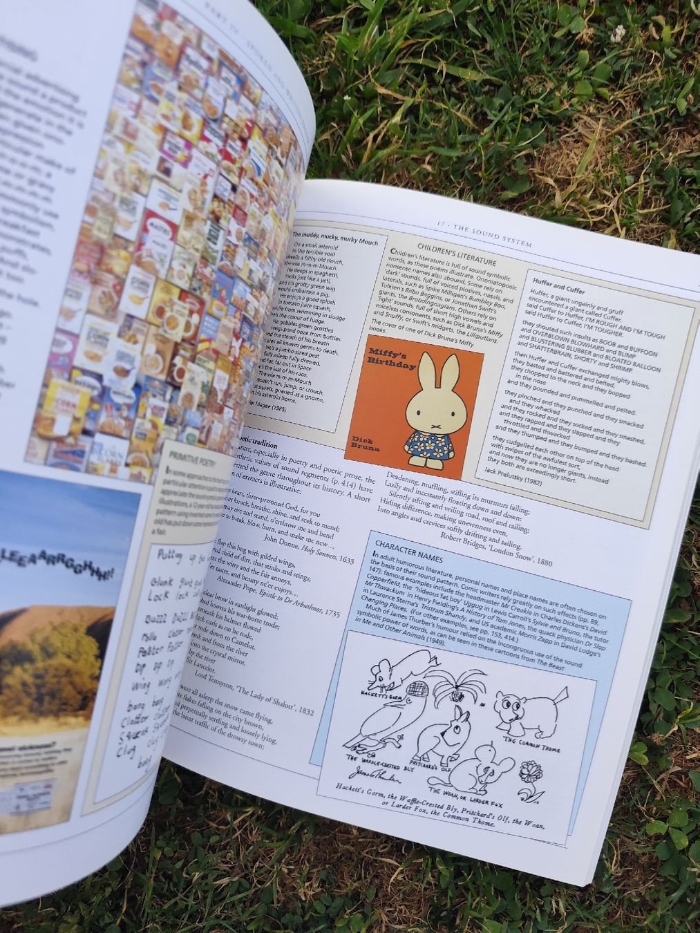 Libri: Cambridge Encyclopedia English Language David Crystal Book – Usato da Mägenwil venduto da VintageGirly 4