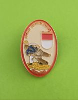 Pin 100 Jahre Soloth. Schwingerverband 1995
