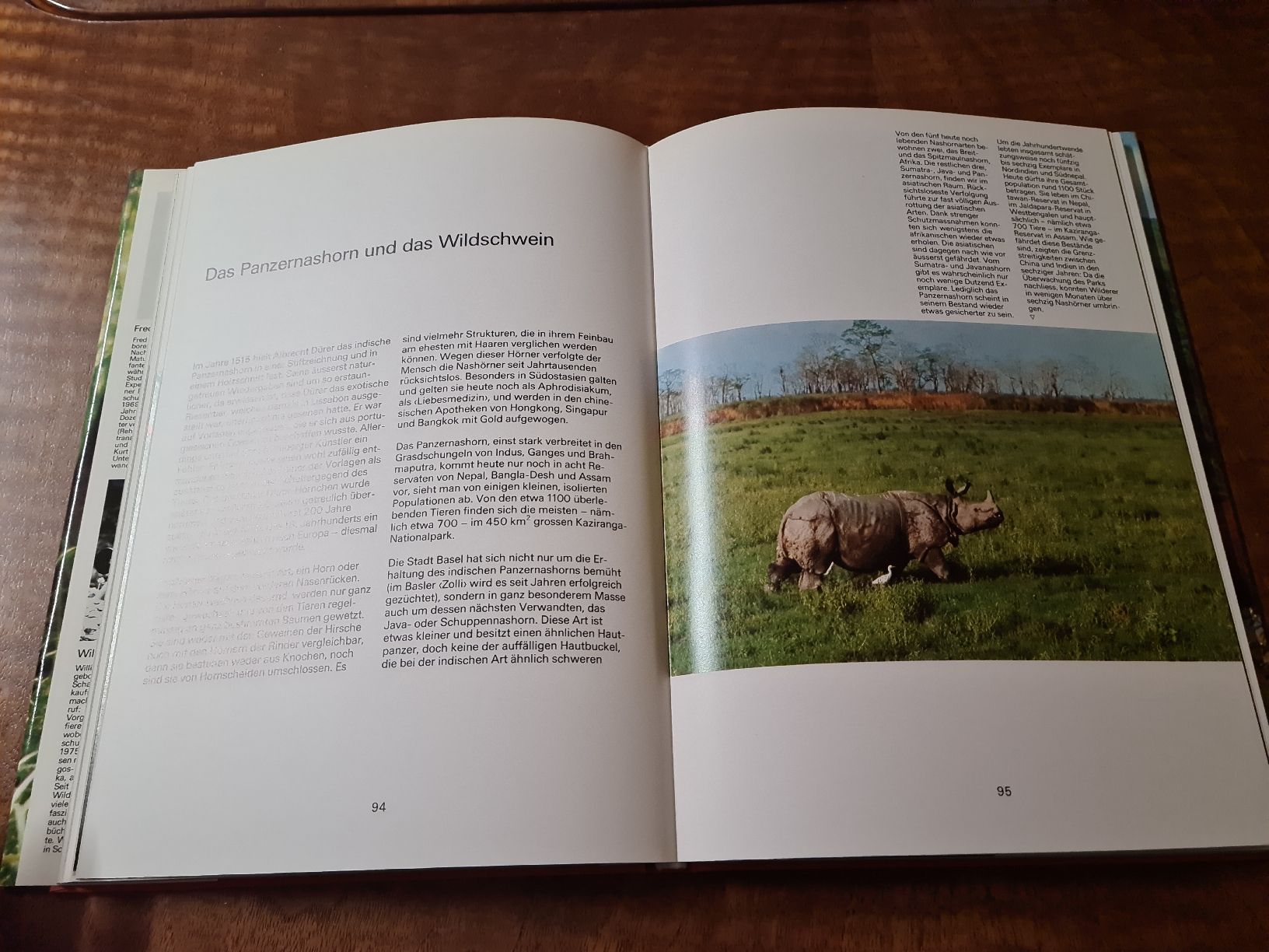 Libri: Zoo Indien – Usato da Erstfeld venduto da Uhu1980 4