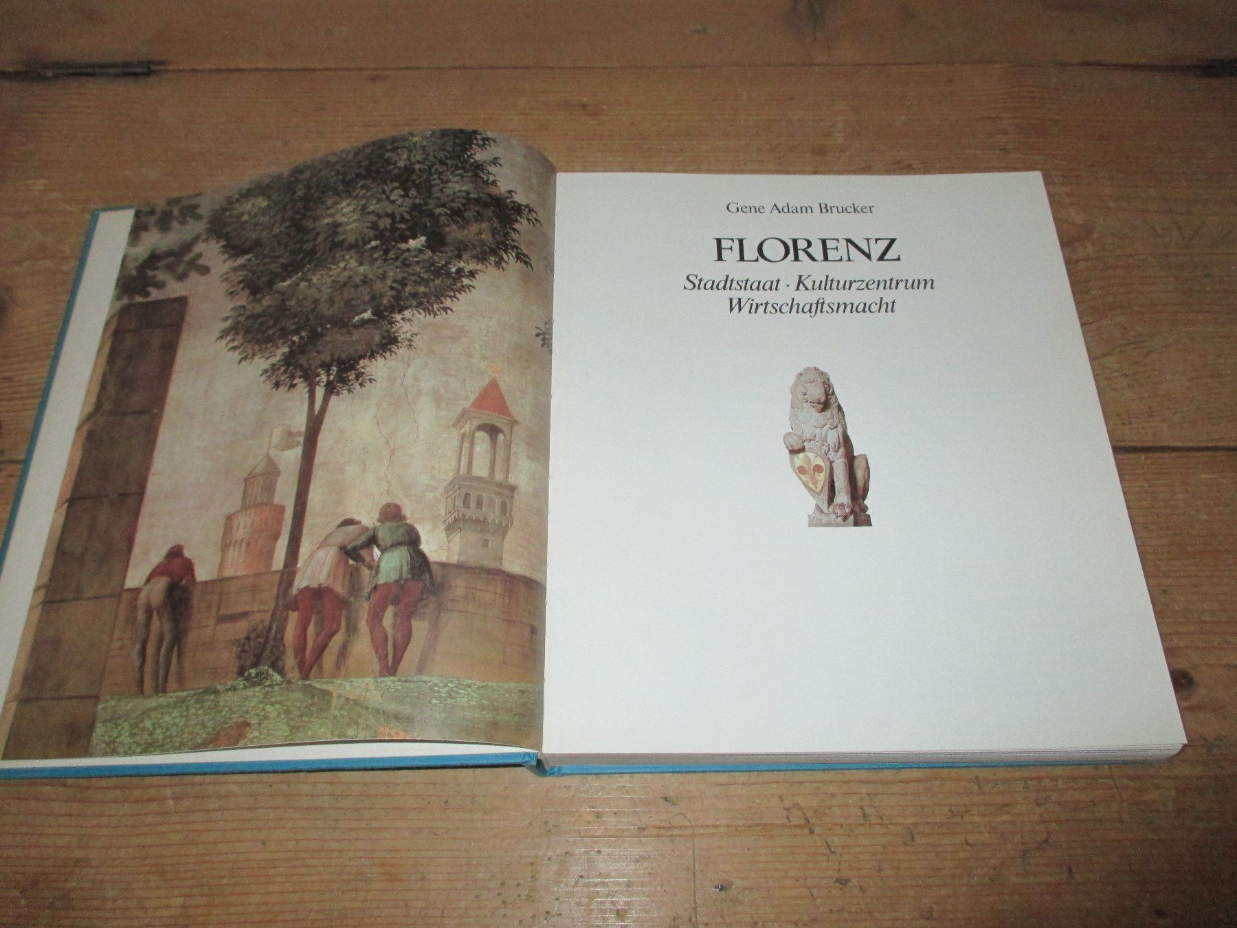 Libri: Florenz – Nuovo (secondo la descrizione) da Flims - Dorf venduto da Stagediver
