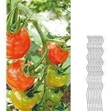 Pflanzstab, Rankhilfe, Tomatenstab, Tomaten  mehrere 1,20m- 2