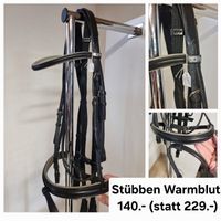 Stübben Zaum Warmblut,  neu