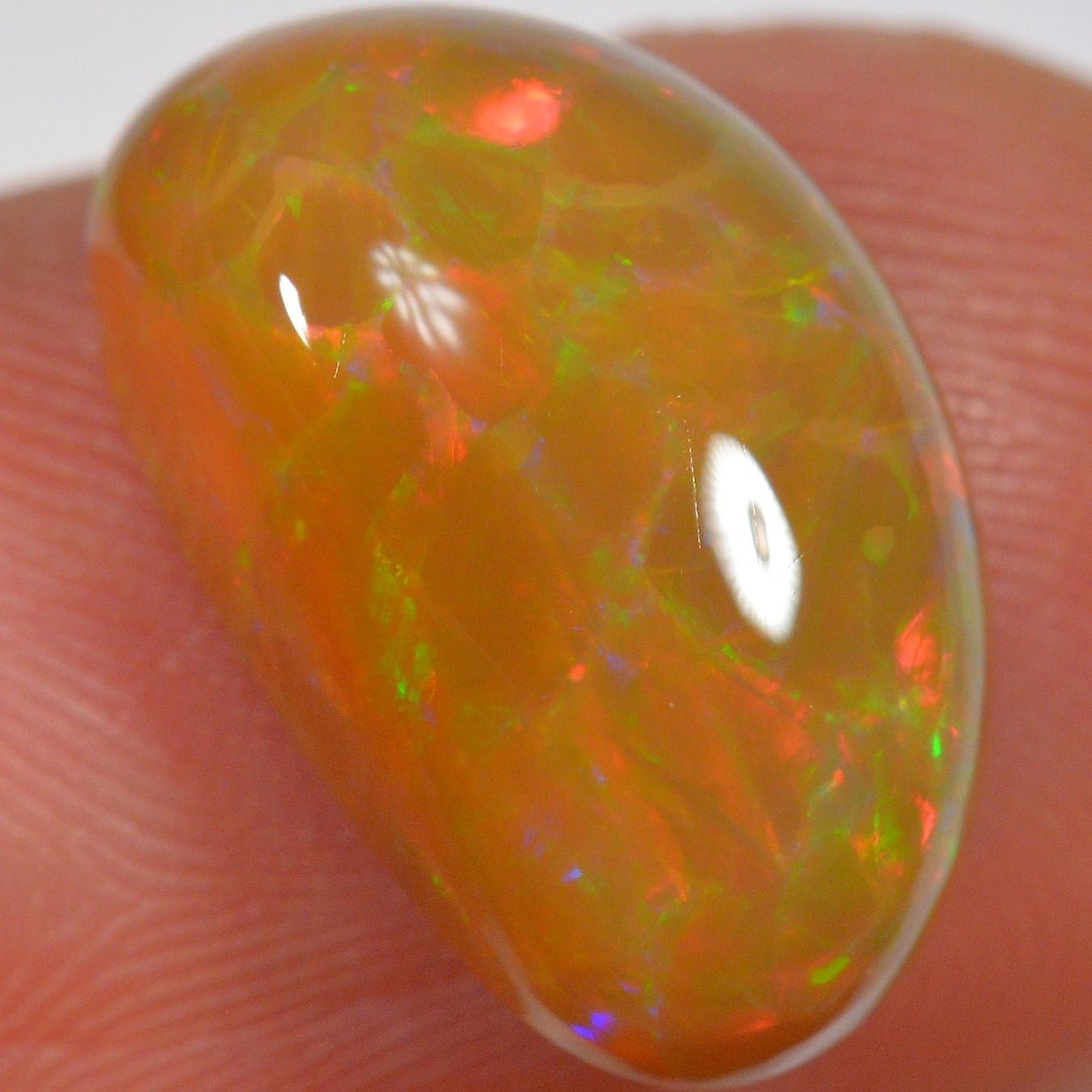 Pietre preziose: 6.6 Karat - Brown Base Cell Pattern - Äthiopischer Welo Opal – Nuovo (secondo la descrizione) da Rüti ZH venduto da DeinOpal