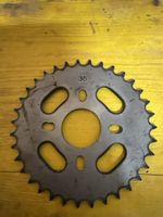 Fantic Issimo Ritzel