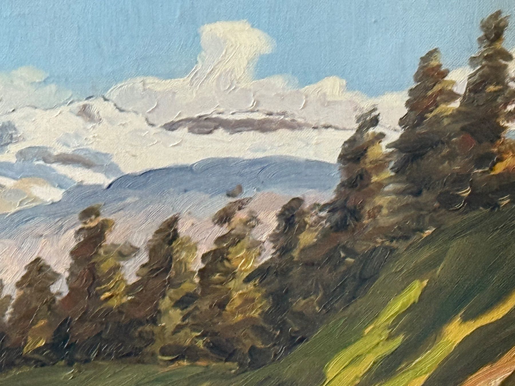 Dipinti: ERISMANN Oelgemälde Berner Oberland signiert – Usato da Bern venduto da Jwpm66 2