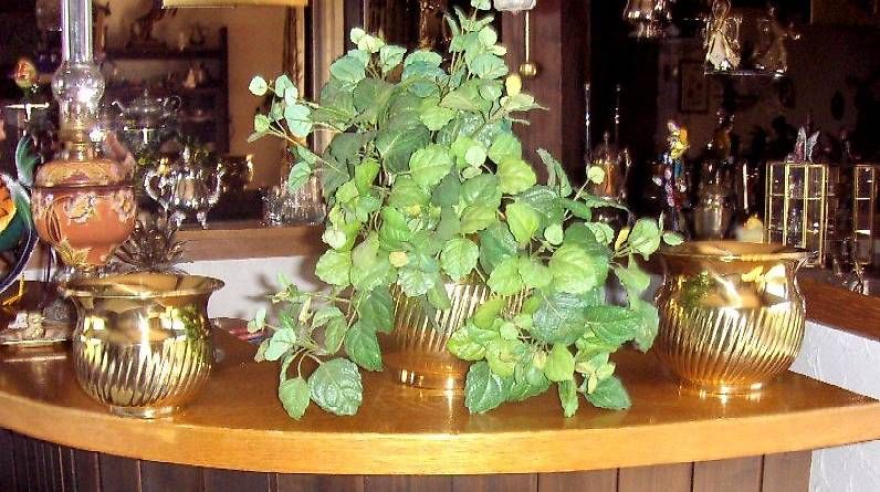 Vasi per fiori: Cache-pot. 3er Set anlaufgeschützt – Usato da Eschenbach venduto da Alicekunst