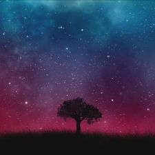 Profile image of lune_bleue