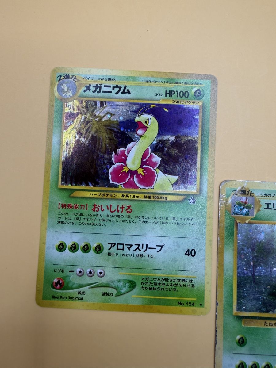 Pokémon Carte collezionabili: Pokemon Karten Meganium & Venusaur – Usato da Wetzikon ZH venduto da KartenKid 3