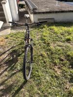 Mountainbike Bergamont Roxtar schwarz gebraucht