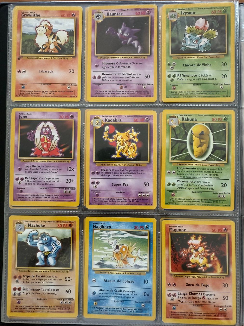 Pokémon Carte collezionabili: Complete Pokémon Base Set 1999 Collection – Usato da Lausanne venduto da laminas 3