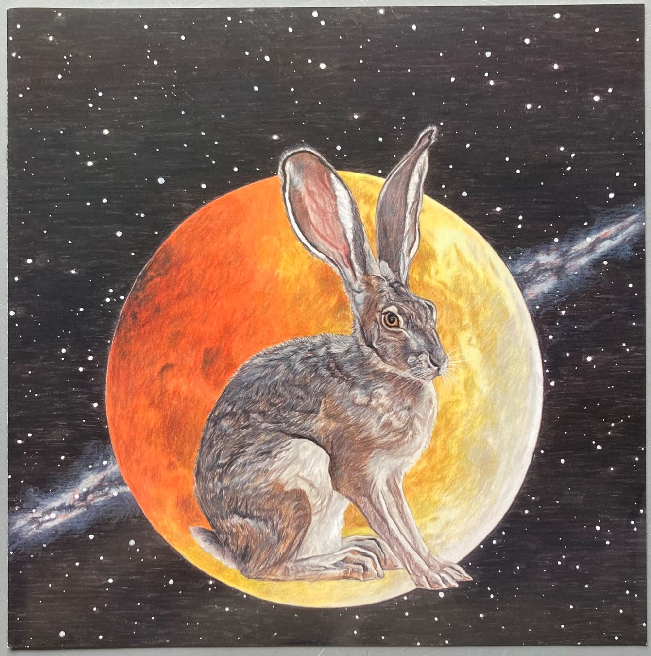 Vinyles: OSSO - RUN RABBIT RUN – D'occasion à Poliez-Pittet par Newtown-Records 2