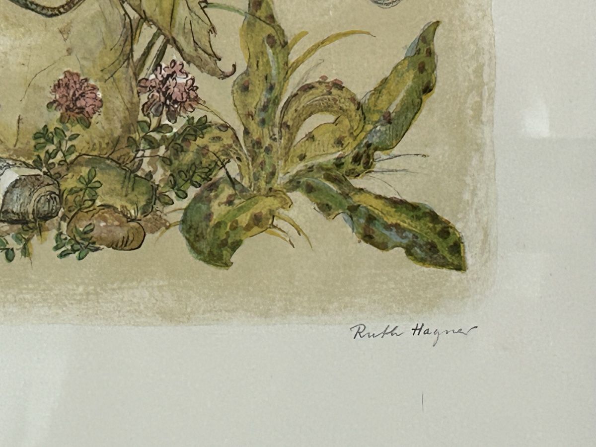 Grafica & Litografie: Nummerierte Lithografie mit Eidechsen / Ruth Hagner – Usato da Himmelried venduto da rasmus67 3