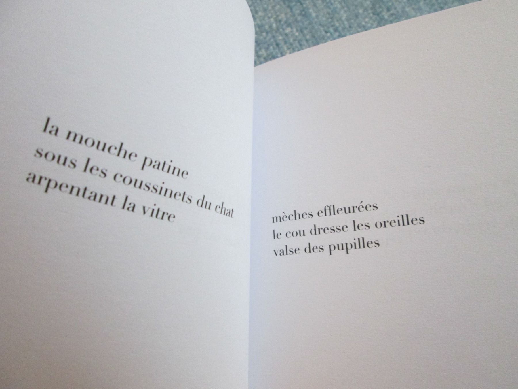 Livres: haïku – D'occasion à Neuchâtel par Dualseele 3