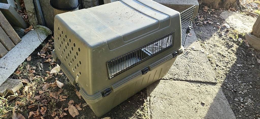 Gabbie, trasporto & Sicurezza: Trasporto cani – Usato da Villa Luganese venduto da Mility89
