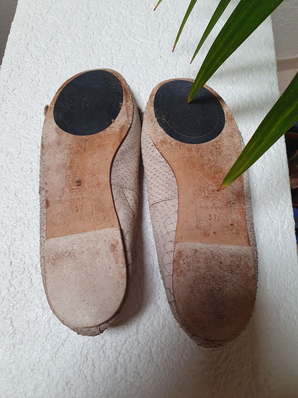 Scarpe da donna: Pretty Ballerinas, Schlangenoptik, Gr. 37, beige – Usato da Teufen AR venduto da pischa 3