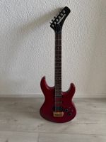Eine wirklich coole Washburn E-Gitarre+Koffer, neu Revidiert
