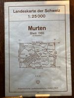 Carte nationale de la Suisse 1165 2:25000 Murten Morat